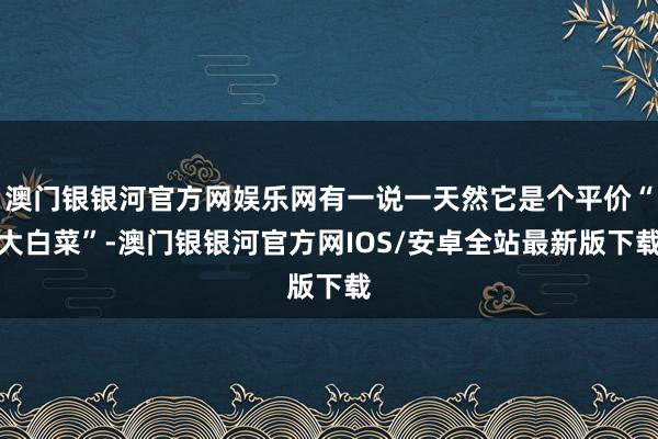 澳门银银河官方网娱乐网有一说一天然它是个平价“大白菜”-澳门银银河官方网IOS/安卓全站最新版下载