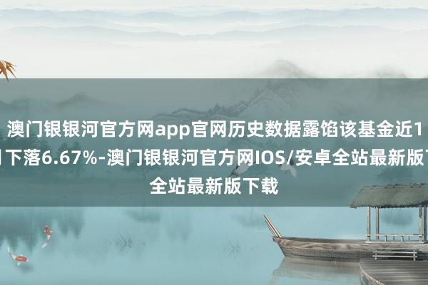 澳门银银河官方网app官网历史数据露馅该基金近1个月下落6.67%-澳门银银河官方网IOS/安卓全站最新版下载