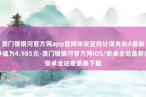 澳门银银河官方网app官网华安逆向计谋夹杂A最新单元净值为4.985元-澳门银银河官方网IOS/安卓全站最新版下载