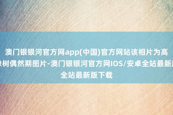 澳门银银河官方网app(中国)官方网站该相片为高达立像树偶然期图片-澳门银银河官方网IOS/安卓全站最新版下载