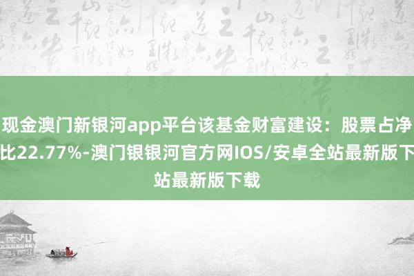 现金澳门新银河app平台该基金财富建设：股票占净值比22.77%-澳门银银河官方网IOS/安卓全站最新版下载