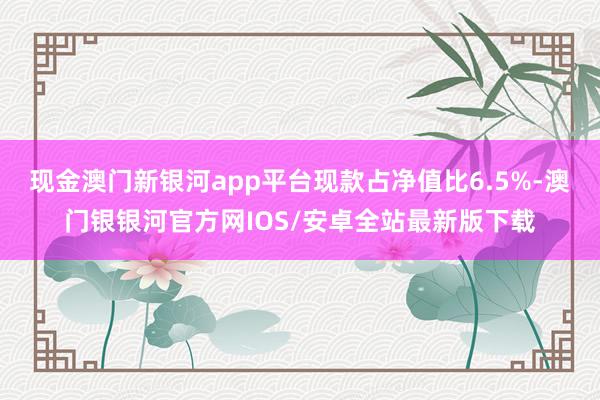 现金澳门新银河app平台现款占净值比6.5%-澳门银银河官方网IOS/安卓全站最新版下载