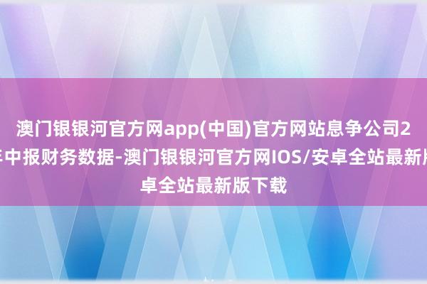 澳门银银河官方网app(中国)官方网站息争公司2024年中报财务数据-澳门银银河官方网IOS/安卓全站最新版下载