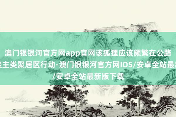 澳门银银河官方网app官网该狐狸应该频繁在公路概况东谈主类聚居区行动-澳门银银河官方网IOS/安卓全站最新版下载