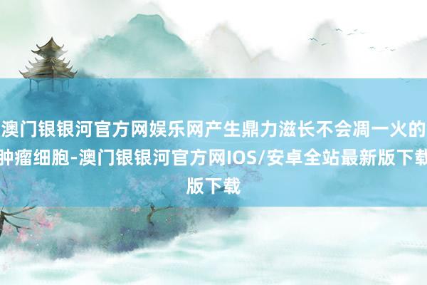 澳门银银河官方网娱乐网产生鼎力滋长不会凋一火的肿瘤细胞-澳门银银河官方网IOS/安卓全站最新版下载