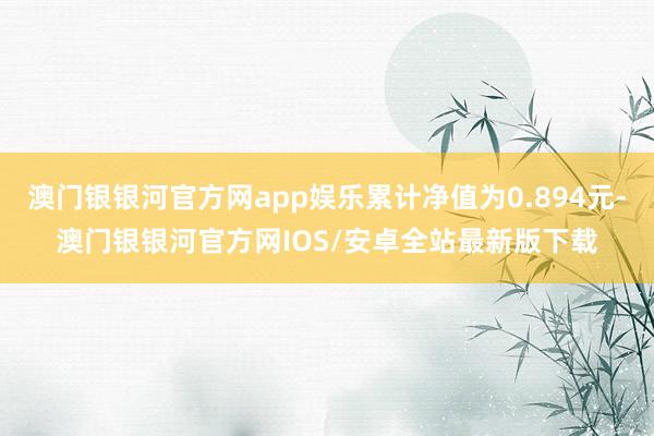 澳门银银河官方网app娱乐累计净值为0.894元-澳门银银河官方网IOS/安卓全站最新版下载
