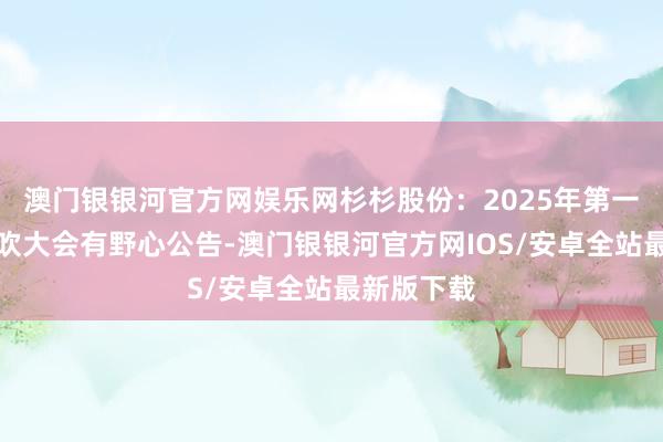 澳门银银河官方网娱乐网杉杉股份：2025年第一次临时鼓吹大会有野心公告-澳门银银河官方网IOS/安卓全站最新版下载