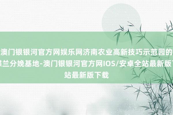 澳门银银河官方网娱乐网济南农业高新技巧示范园的蝴蝶兰分娩基地-澳门银银河官方网IOS/安卓全站最新版下载