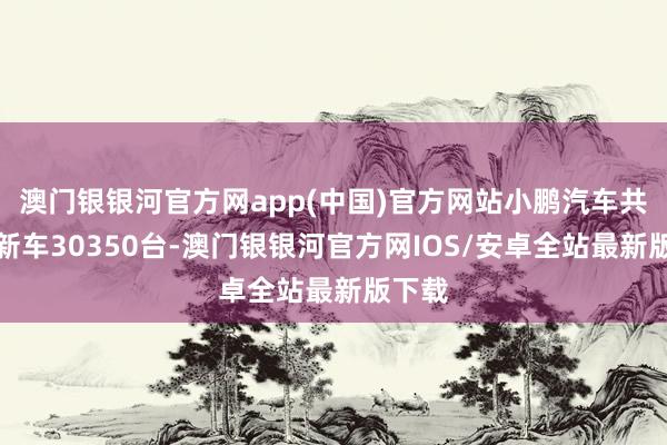 澳门银银河官方网app(中国)官方网站小鹏汽车共委用新车30350台-澳门银银河官方网IOS/安卓全站最新版下载