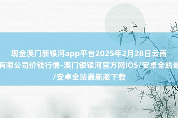 现金澳门新银河app平台2025年2月28日云南云菜集团有限公司价钱行情-澳门银银河官方网IOS/安卓全站最新版下载